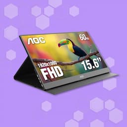 Portable Monitors
